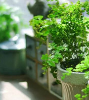 平顶山专属于你的开运指南，助你鸿运当头福满身！