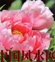 平顶山预示你财运上升，姻缘可成的梦境，快来看看吧！