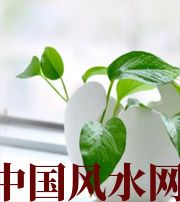 平顶山家中摆放六种吉祥物，会打开您的财运大门！