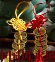 平顶山养鱼禁忌知多少？别伤了风水财运还傻傻不知~