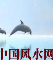 平顶山做梦梦到这些，是要富裕的征兆！