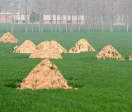 平顶山阴宅风水：形峦三十六绝
